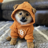 DOGUSDT